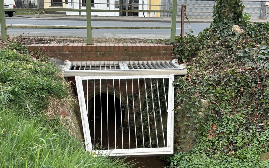 Neuer Treibgutrechen am Umbach in Sinzenich