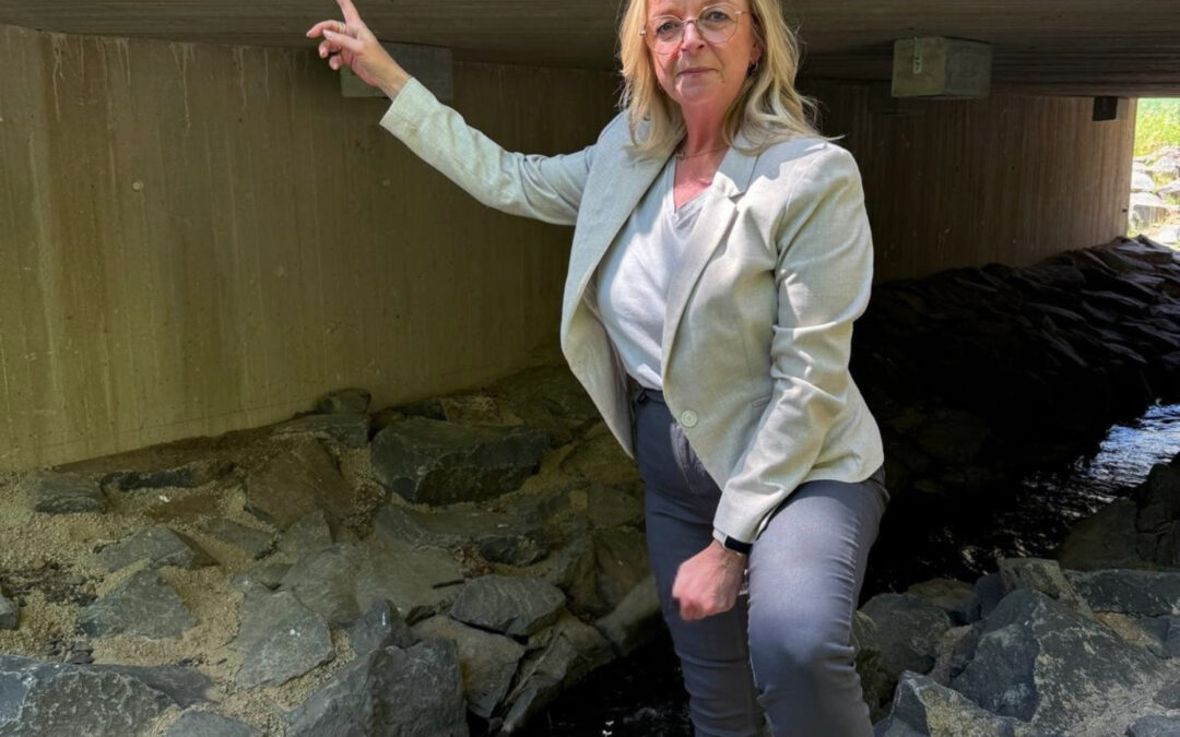 Hochwasserschutz: Bad Münstereifel ist Vorreiter bei kommunalen Frühwarnsystemen