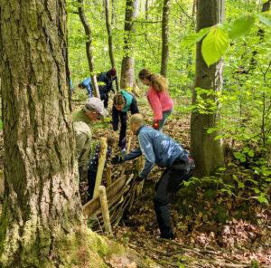 Damm wird im Wald von Erwachsenen und Kindern gebaut, Dammbauaktion in Rheinbach-West
