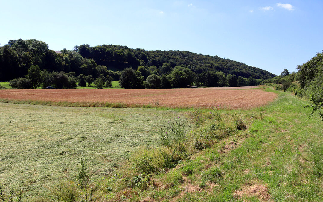 Hochwasserschutzkonzept für Bad Münstereifel beschlossen