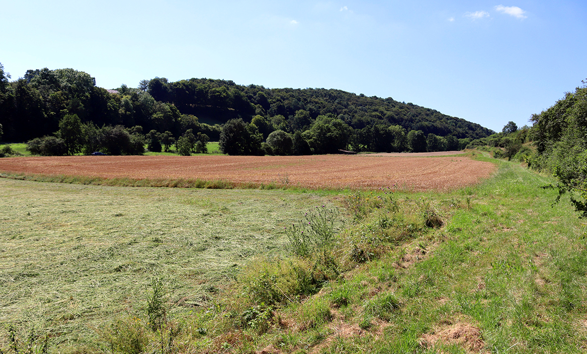 Bei Gilsdorf soll eines der Hochwasserrückhaltebecken gebaut werden. Foto: Mager/Stadt Bad Münstereifel